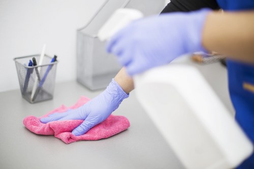 Professional stain removal service in Maidavale for carpets and upholstery