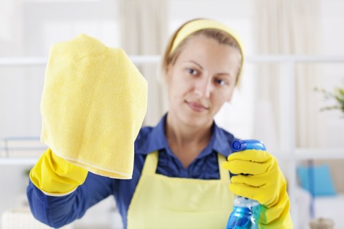 Professional carpet cleaning for a Maidavale home living room