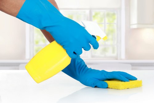 Professionally cleaned newly renovated home interior in Maidavale
