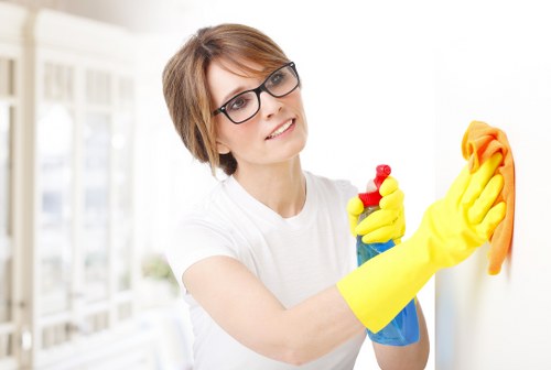 Cleaning treatment for pet urine smell on upholstery in Maidavale
