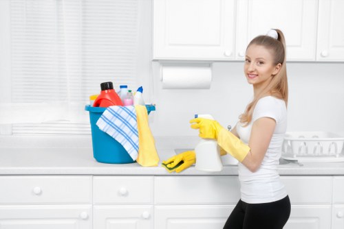 Professional window cleaning for a residential property in Maidavale