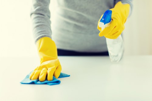 Deep cleaning of a kitchen during a one-time service in Maidavale