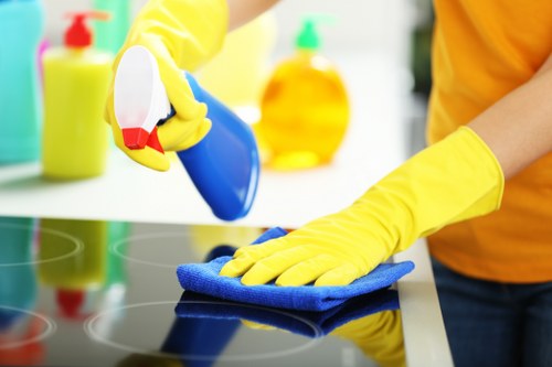 Cleaning tiled and hard surfaces in a Maidavale home