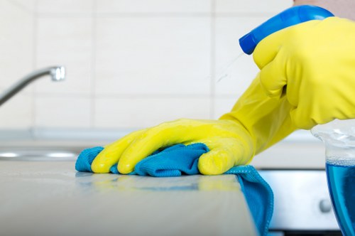 Residential patio restoration and cleaning in Maidavale