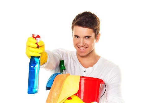 Deep cleaning a sofa upholstery surface in a Maidavale property