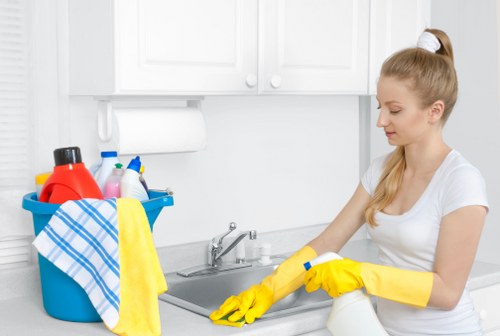 Local exterior cleaning for homes and businesses in Maidavale