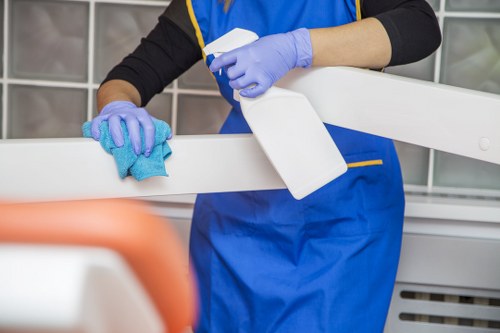 Professional cleaning of a building facade in Maidavale