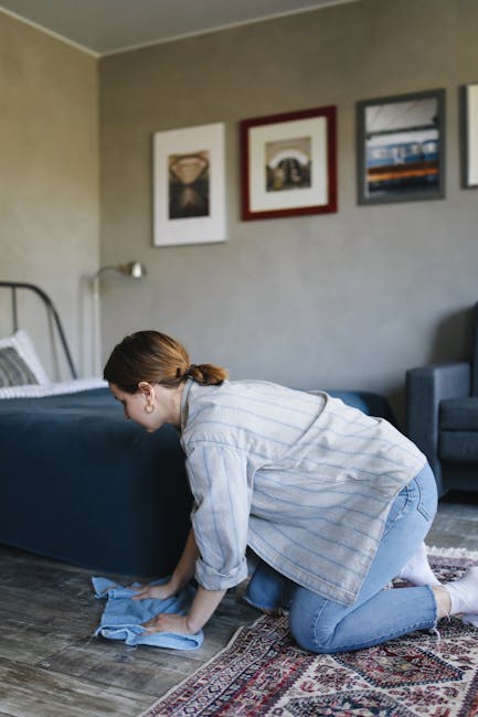 A woman with brown hair tied back, dressed in a light blue striped shirt and jeans, is kneeling on a patterned area rug in a living room, using a blue cloth to clean a dark blue upholstered bed frame and mattress. The room features a hardwood floor, grey walls decorated with three framed artworks above the bed, and a grey upholstered armchair in the background. The scene illustrates domestic cleaning and surface maintenance as part of effective carpet and furniture sanitisation, consistent with services offered by Carpet Cleaning Maida Vale, in a well-lit, tidy room.